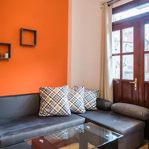 Orange Geranium Daire Selanik